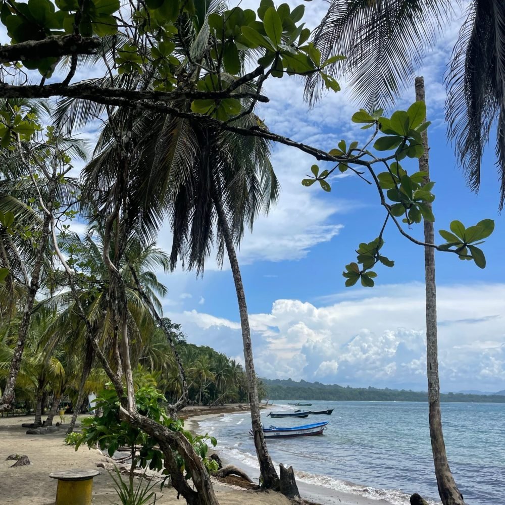 manzanillo