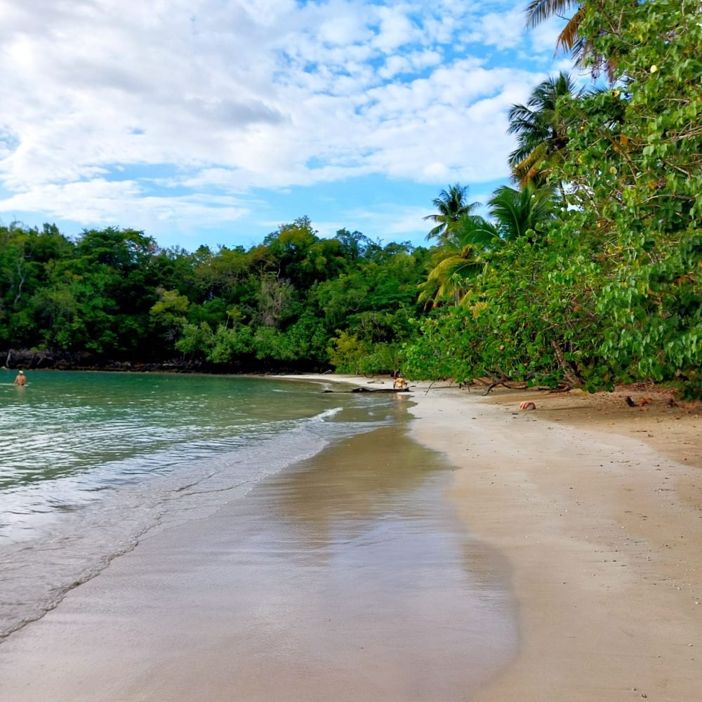 punta uva